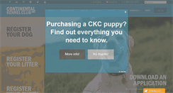 Desktop Screenshot of ckcusa.com